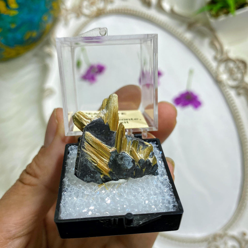 Rare Golden Rutile on Hematite Matrix In Collectible Box ~Locality: Novo Horizonte, Bahia, Brazil - Earth Family Crystals