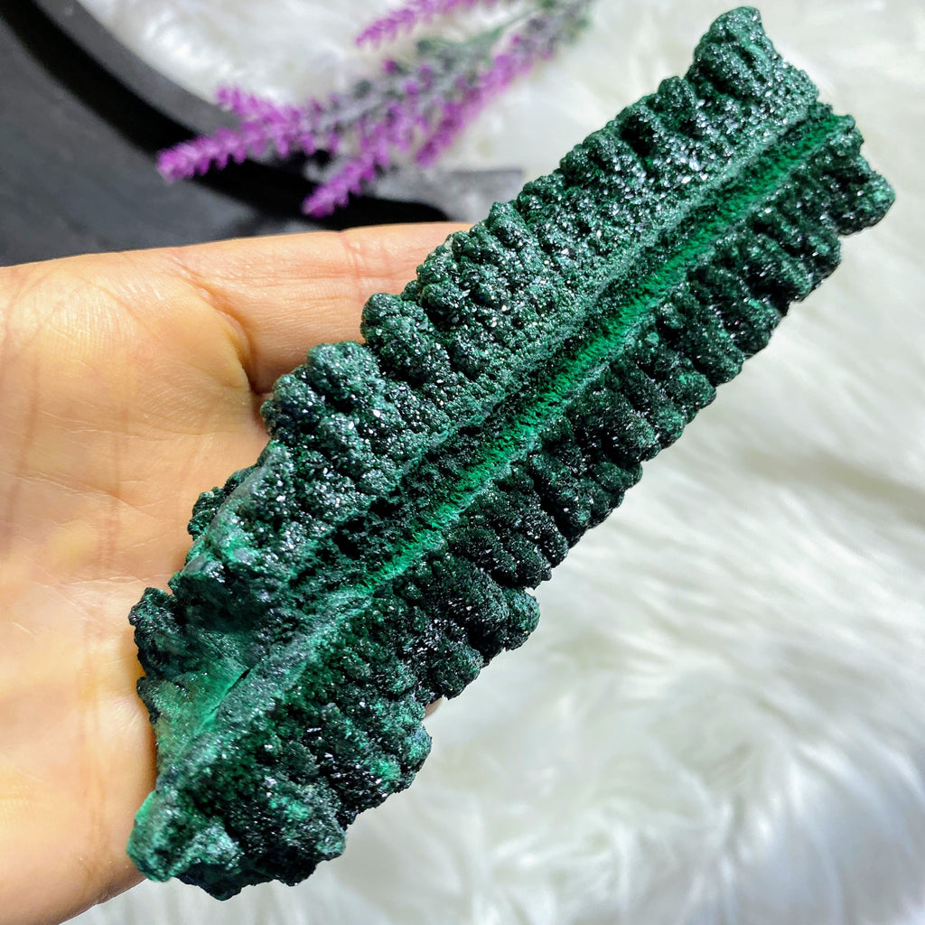 Rare & Unique Formation! Shimmering Natural Large Malachite Stalagmite Crystal - Earth Family Crystals