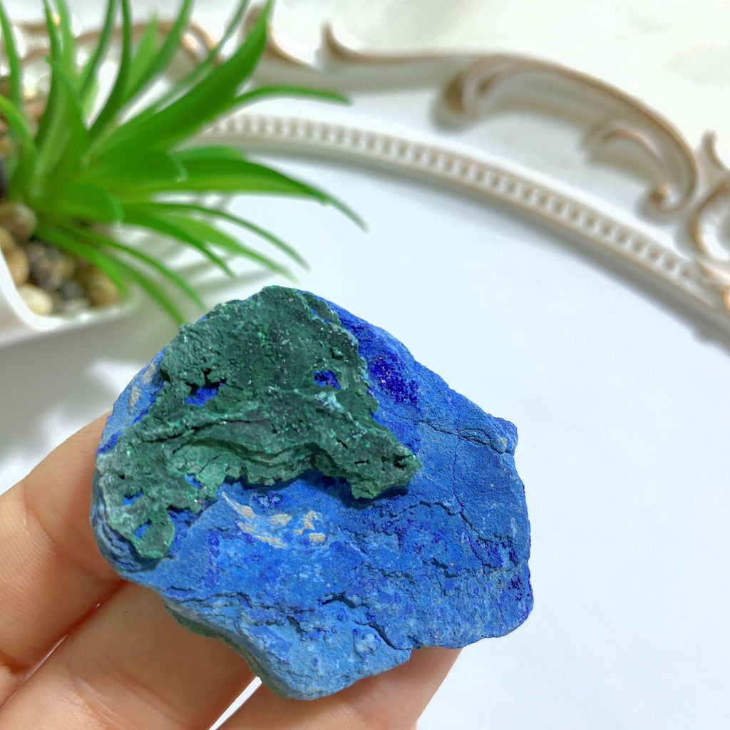 Azurite & Layered Malachite Natural Specimen #4 - Earth Family Crystals