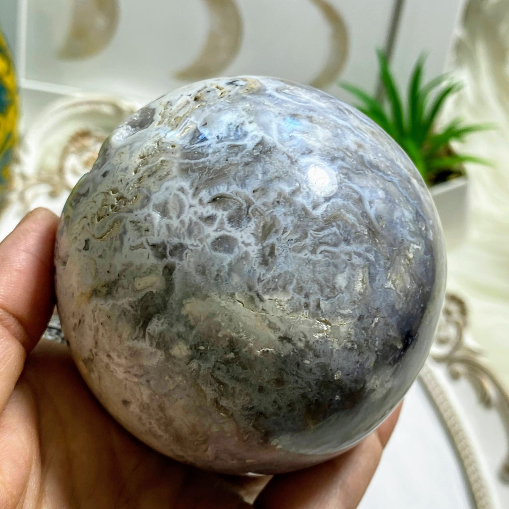 Incredible XL Druzy Cave Geode Dendritic Agate Sphere Carving - Earth Family Crystals