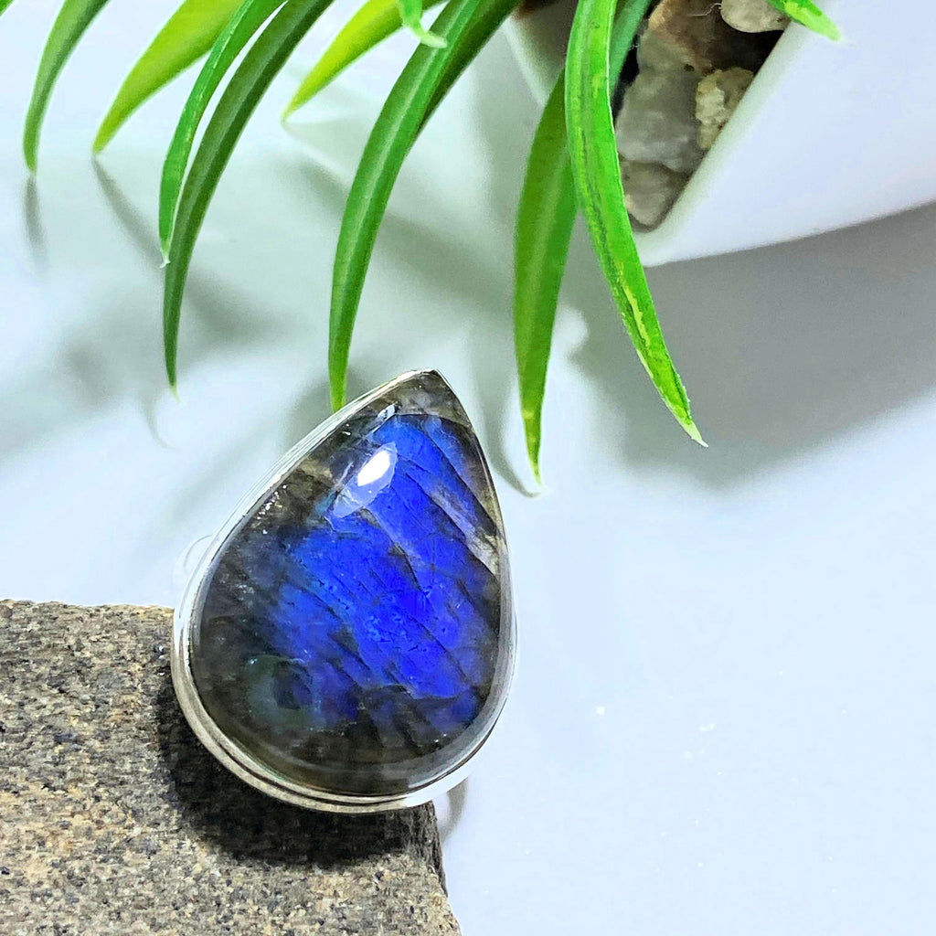 Cobalt Blue Flashes Labradorite Sterling Silver Ring (Size 8) - Earth Family Crystals