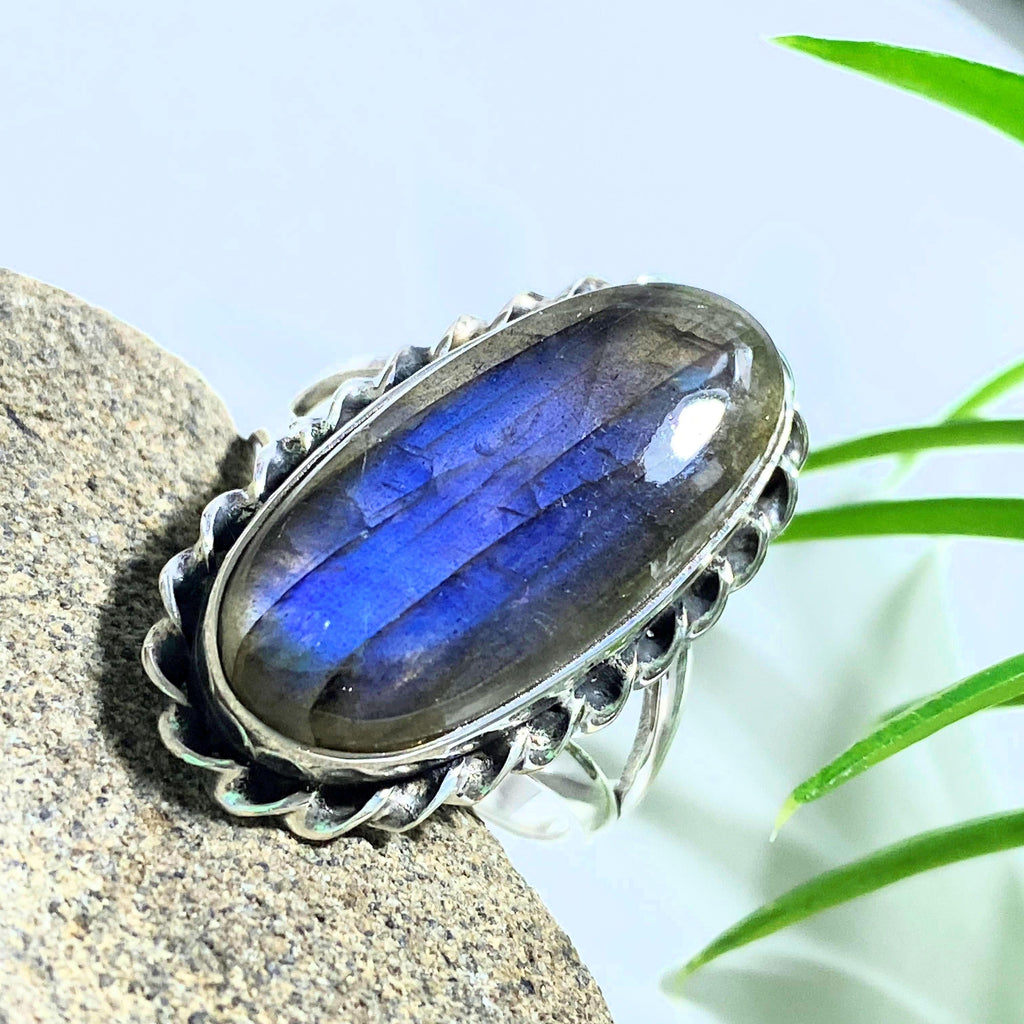 Gorgeous Cobalt Blue Flashes Labradorite Sterling Silver Ring (Size 10.5) - Earth Family Crystals