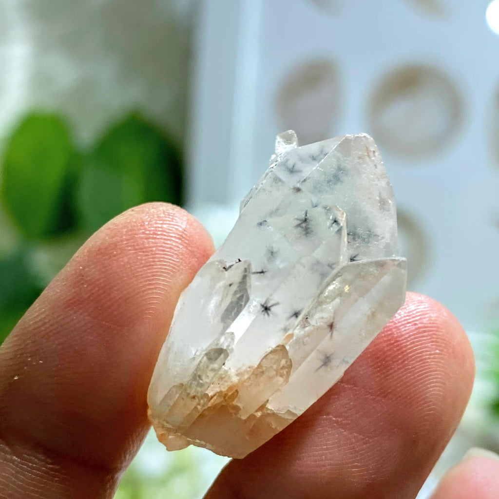 Very Rare! Star Hollandite Elestial Dainty Quartz With Phantom From Madagascar - Earth Family Crystals