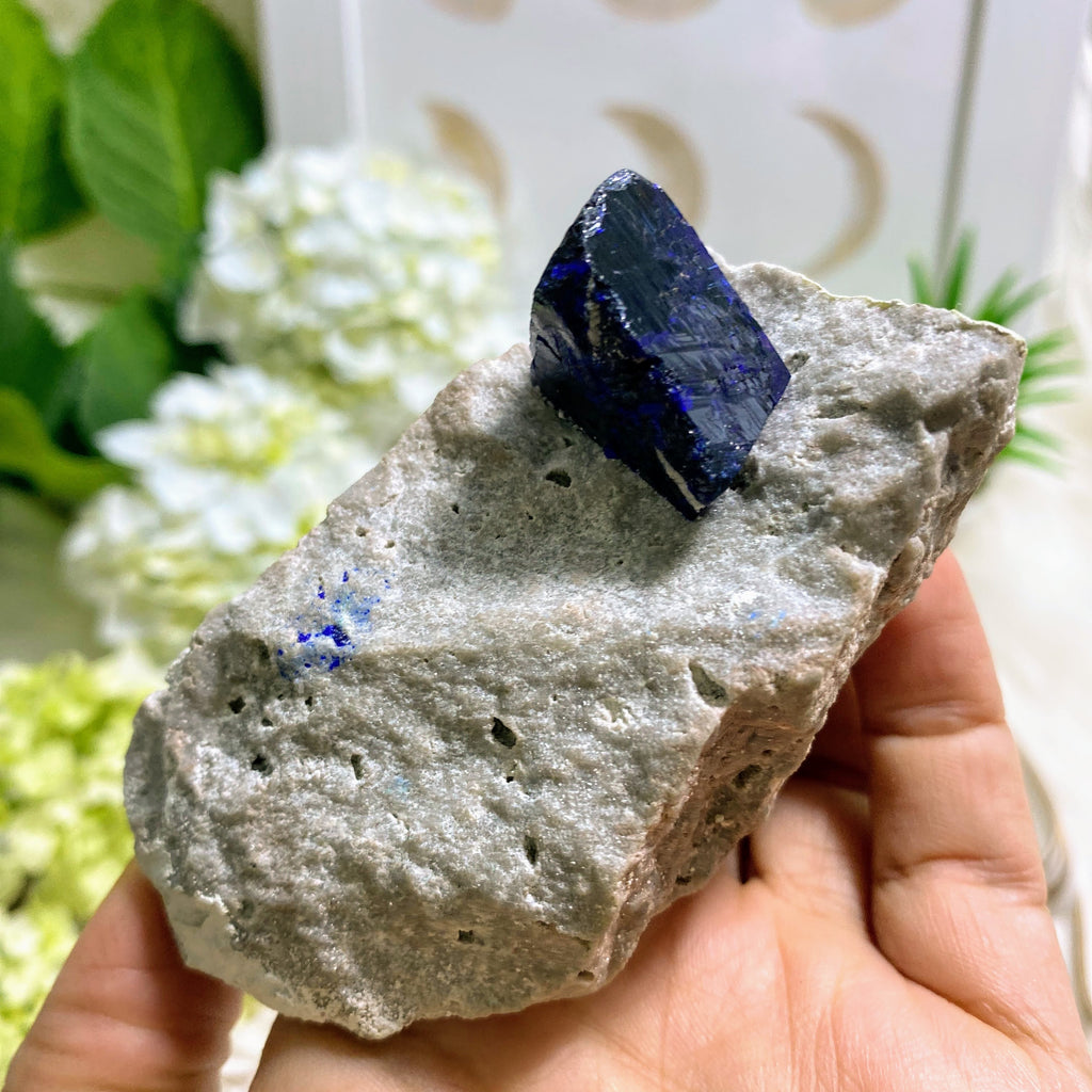 Rare! Gemmy Dark Blue Azurite Crystal On Rock Matrix From Milpillas Mine, Mexico - Earth Family Crystals