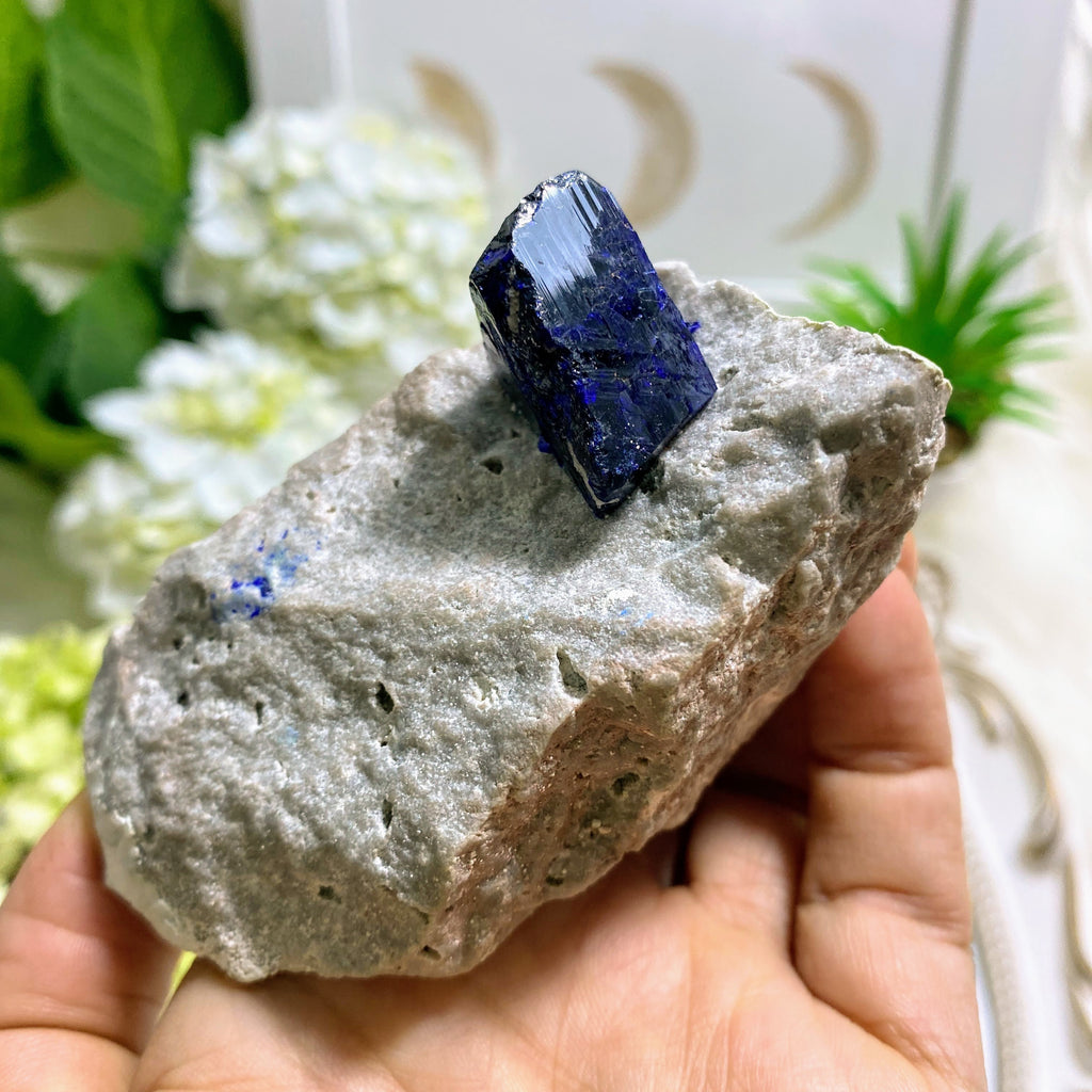 Rare! Gemmy Dark Blue Azurite Crystal On Rock Matrix From Milpillas Mine, Mexico - Earth Family Crystals