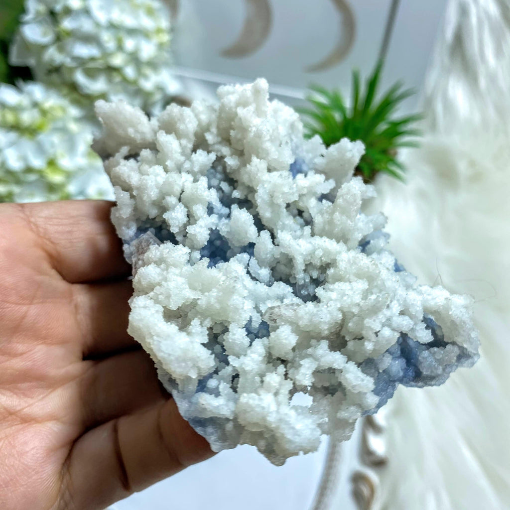 Interesting White Aragonite Clusters on Chalcedony Matrix & Heulandite Inclusions~Locality: India - Earth Family Crystals