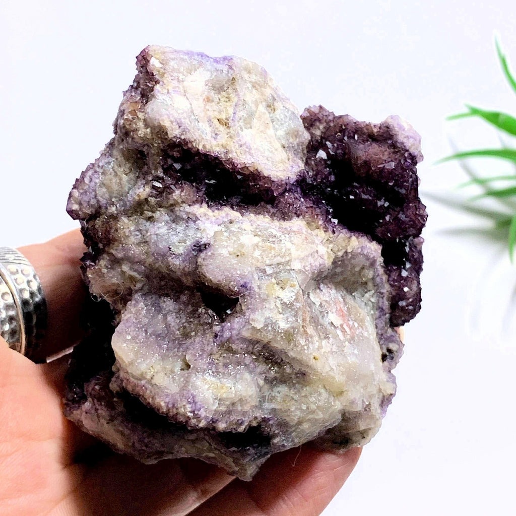 Rare Locality~Deep Purple Cubic Fluorite Natural Cluster from Rossport, Ontario-Canada - Earth Family Crystals