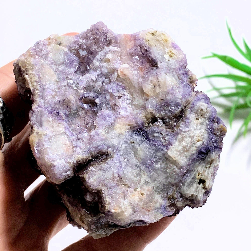Rare Locality~Deep Purple Cubic Fluorite Natural Cluster from Rossport, Ontario-Canada - Earth Family Crystals