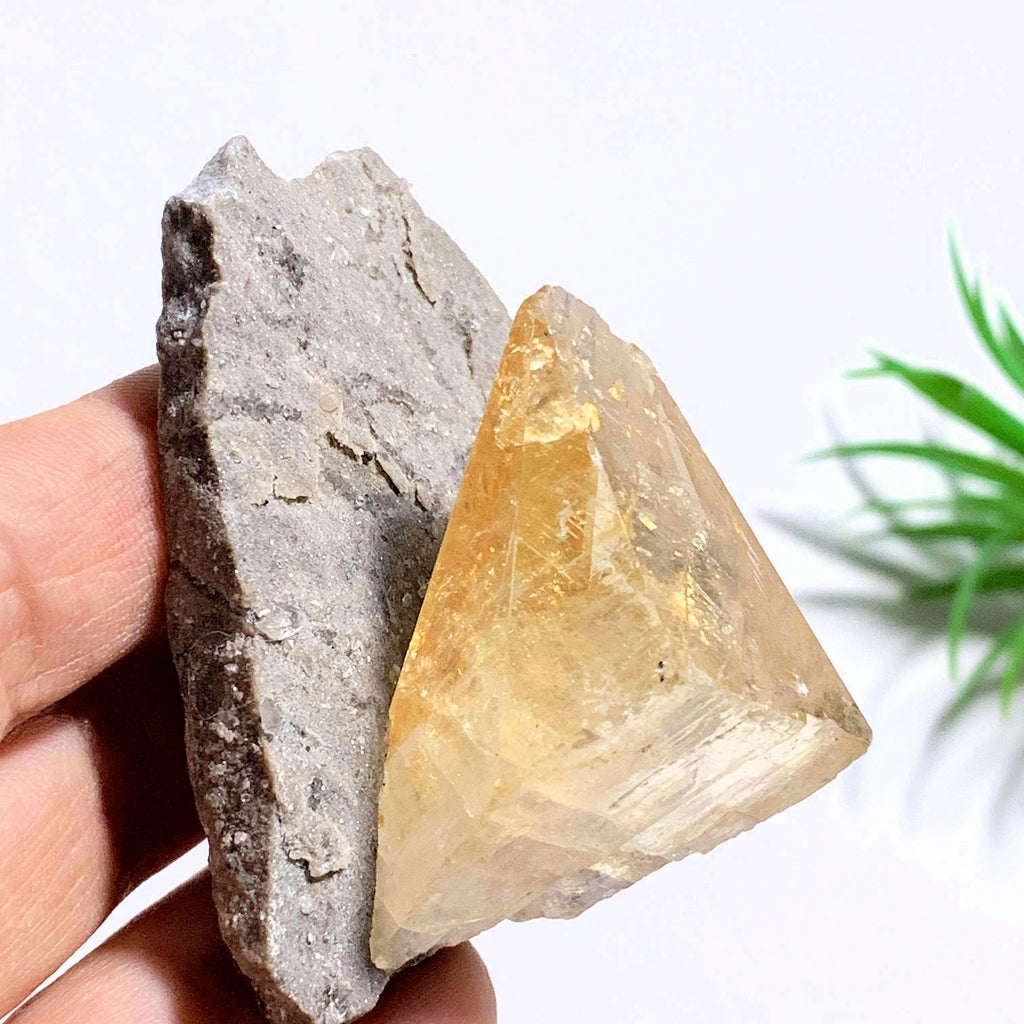 Rare Elmwood Mine Golden Calcite on Matrix Collectors Specimen - Earth Family Crystals