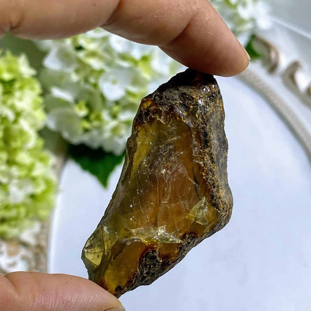 Sumatra Golden & Blue Amber Natural Specimen #3 - Earth Family Crystals