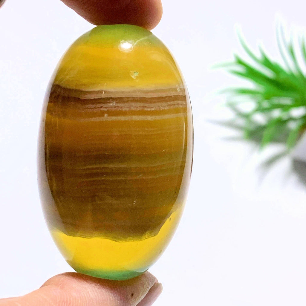 Uplifting Golden Fluorite Egg Specimen #1 - Earth Family Crystals