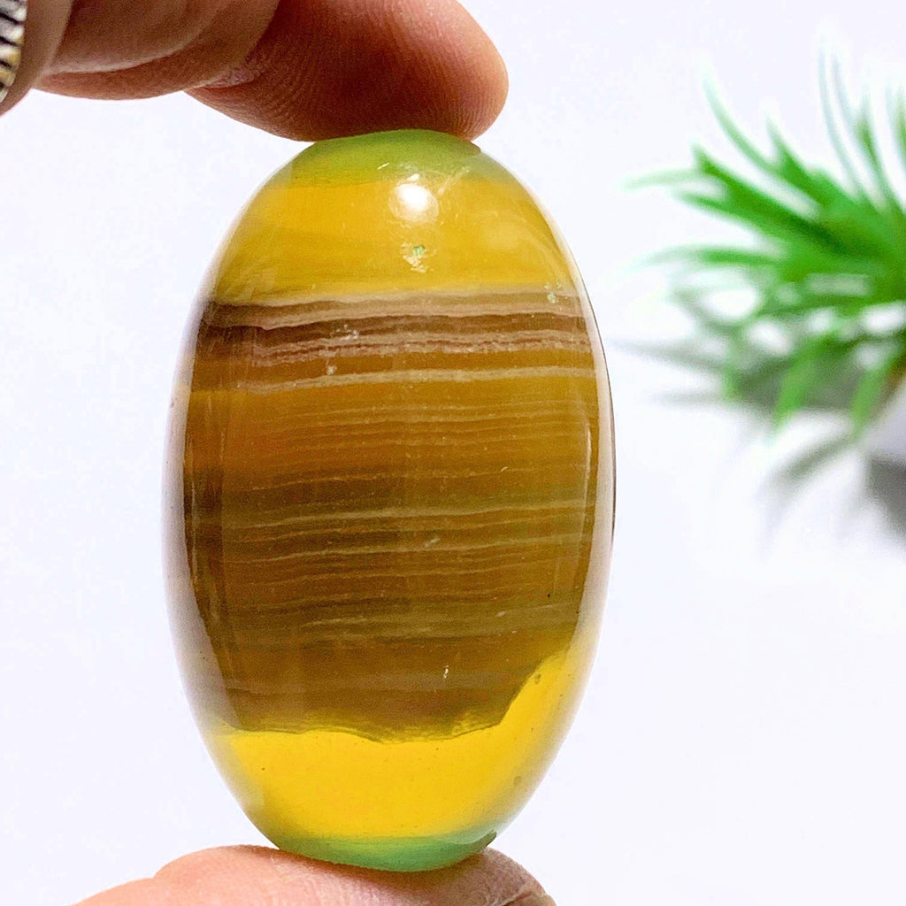 Uplifting Golden Fluorite Egg Specimen #1 - Earth Family Crystals