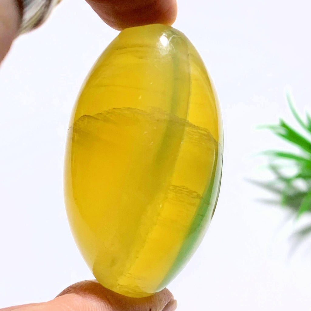 Uplifting Golden Fluorite Egg Specimen #2 - Earth Family Crystals