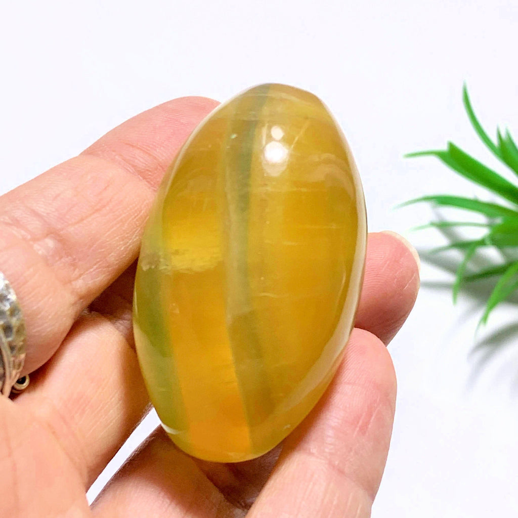 Uplifting Golden Fluorite Egg Specimen #2 - Earth Family Crystals