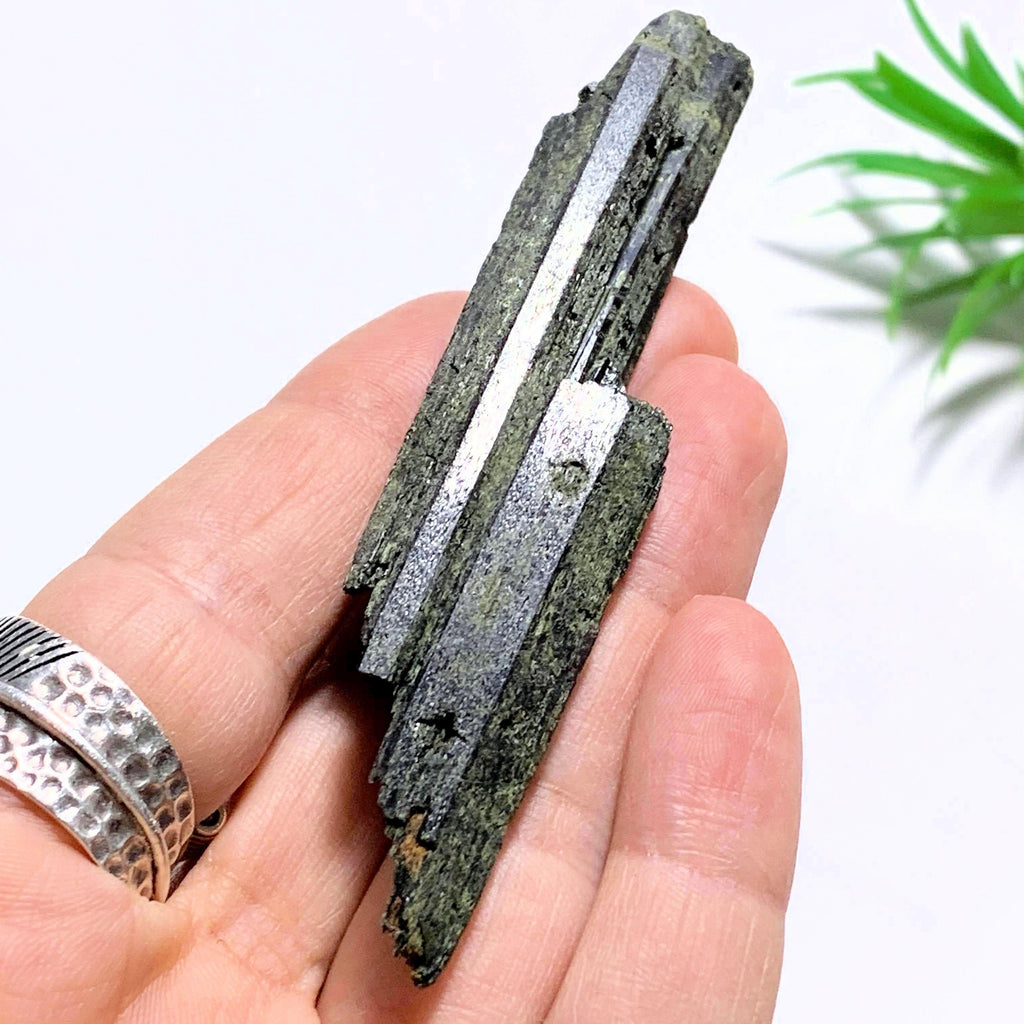 Deep Forest Green Epidote Point Natural Specimen~Locality Namibia - Earth Family Crystals