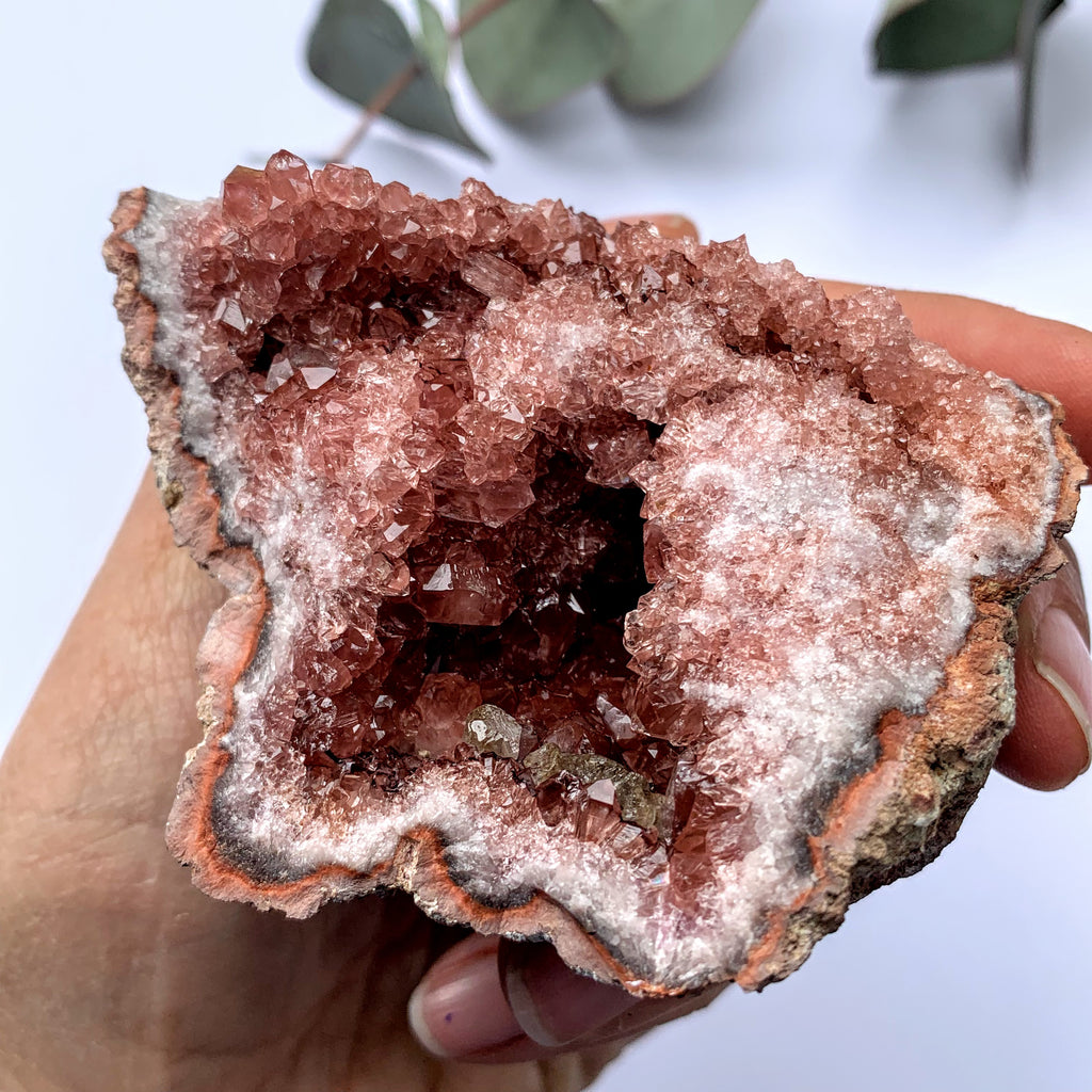 Fabulous Large Deep Pink Amethyst Druzy Geode Cluster From Patagonia9 - Earth Family Crystals