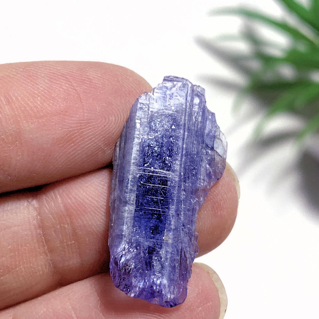14 Carats~Terminated Gemmy Violet Tanzanite Self Healed Specimen~Locality Tanzania - Earth Family Crystals