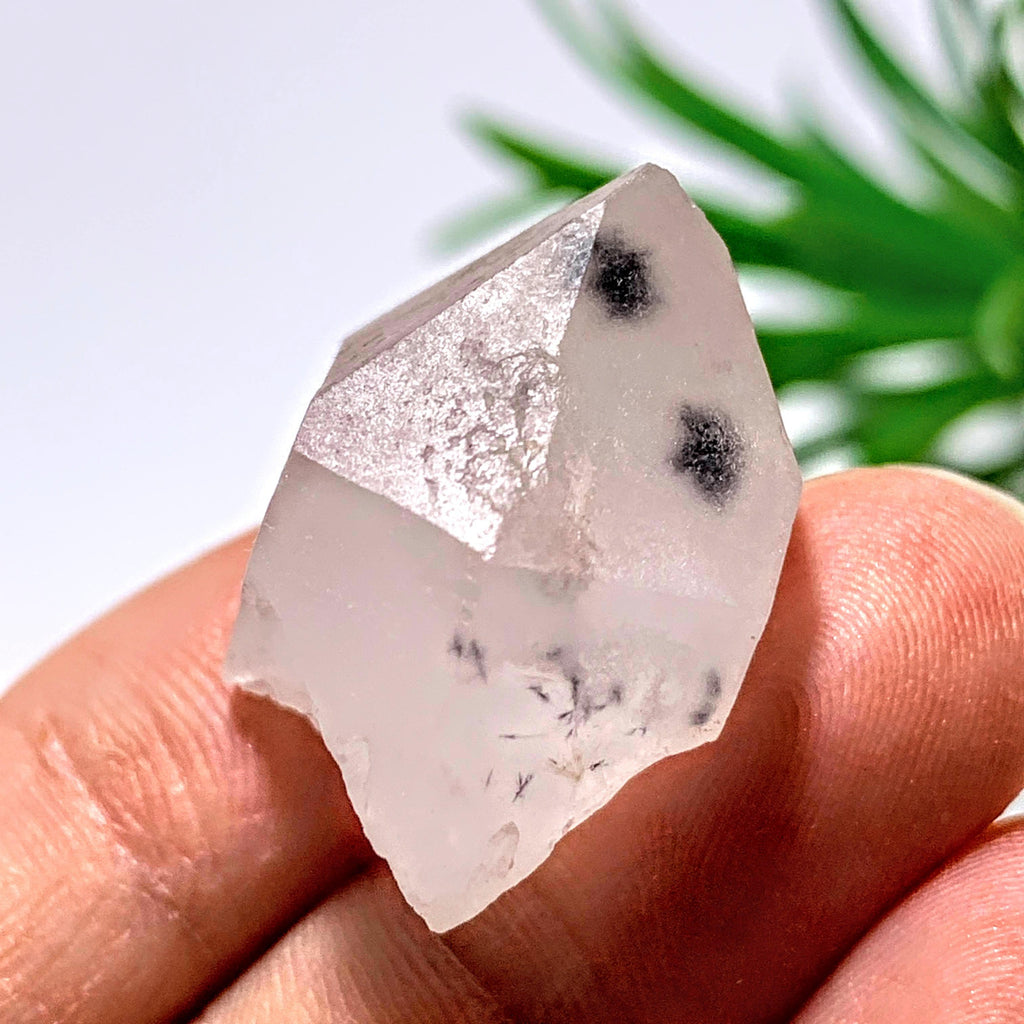 Very Rare~Bursting Dark Stars Hollandite Quartz Dainty Collectors Specimen From Madagascar - Earth Family Crystals