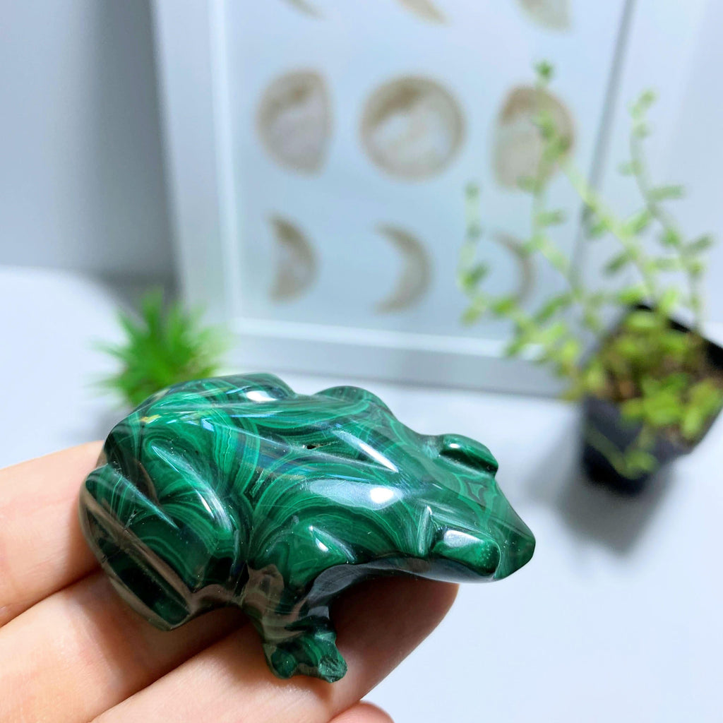 Malachite Frog  Display Carving #1 REDUCED - Earth Family Crystals