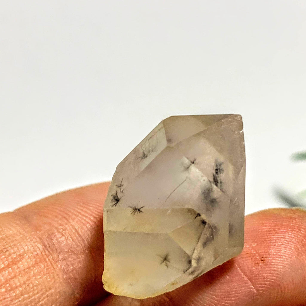 Very Rare~Bursting Star Hollandite Quartz Double Points Dainty Collectors Specimen From Madagascar - Earth Family Crystals