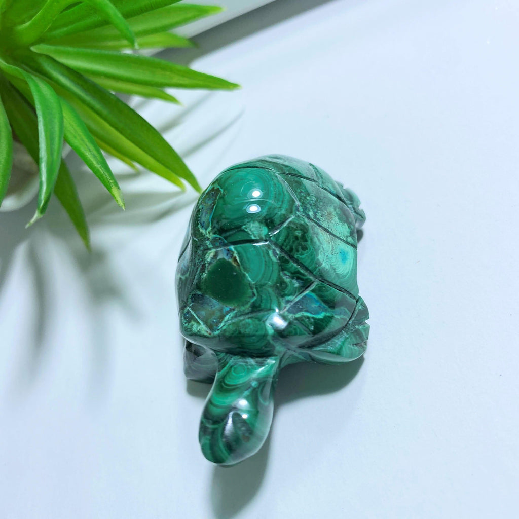 Malachite Turtle with Chrysocolla Inclusions Display Carving #1 - Earth Family Crystals