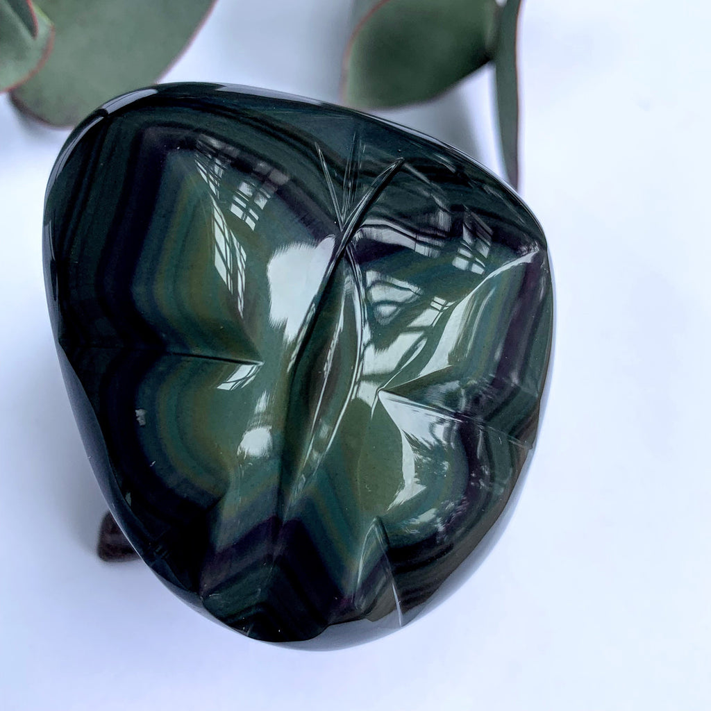 Adorable Rainbow Obsidian Butterfly Display Carving From Mexico - Earth Family Crystals