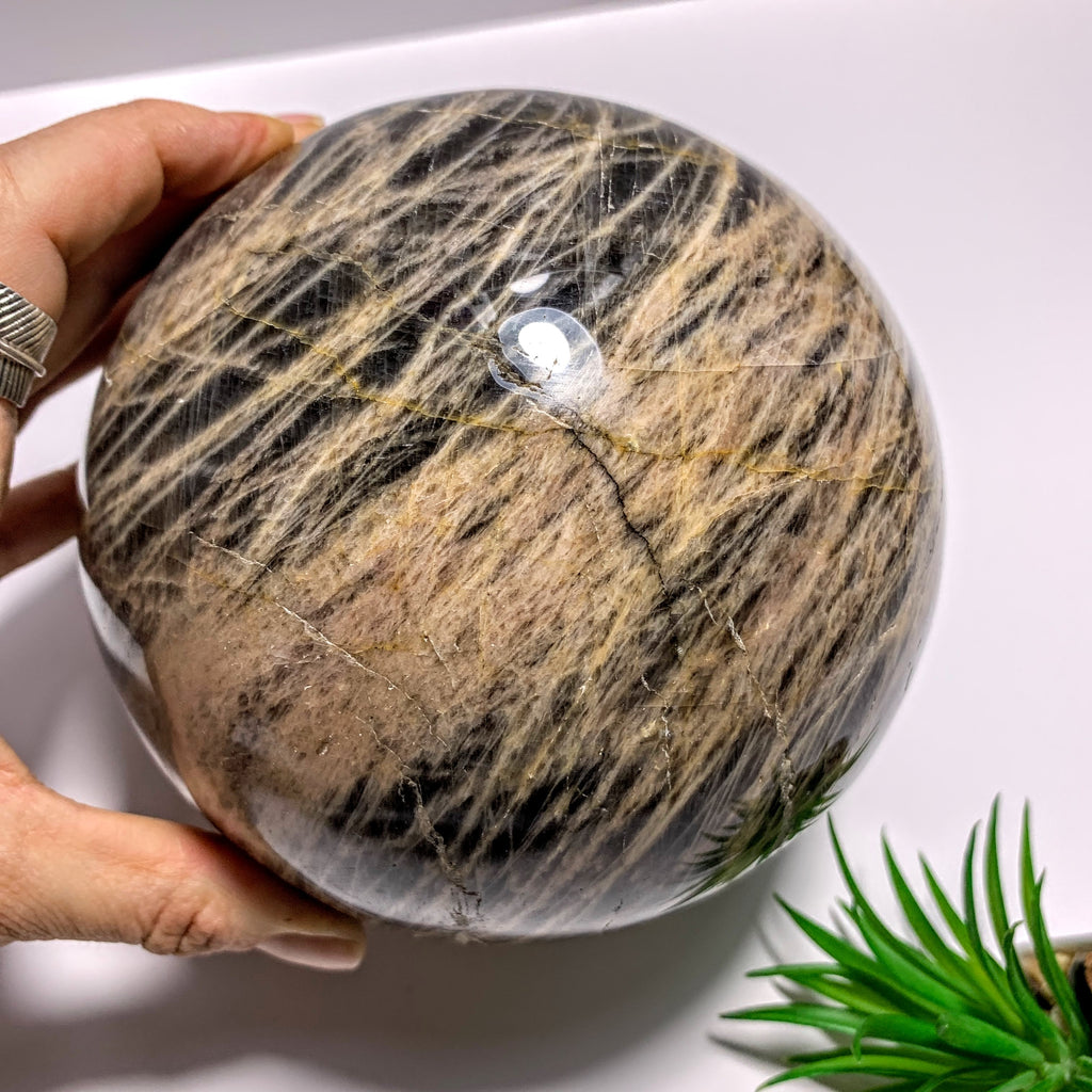 RESERVED~3.3 KG Jumbo Supreme! Mysterious Shimmer Black Moonstone Sphere Carving~Locality Madagascar - Earth Family Crystals