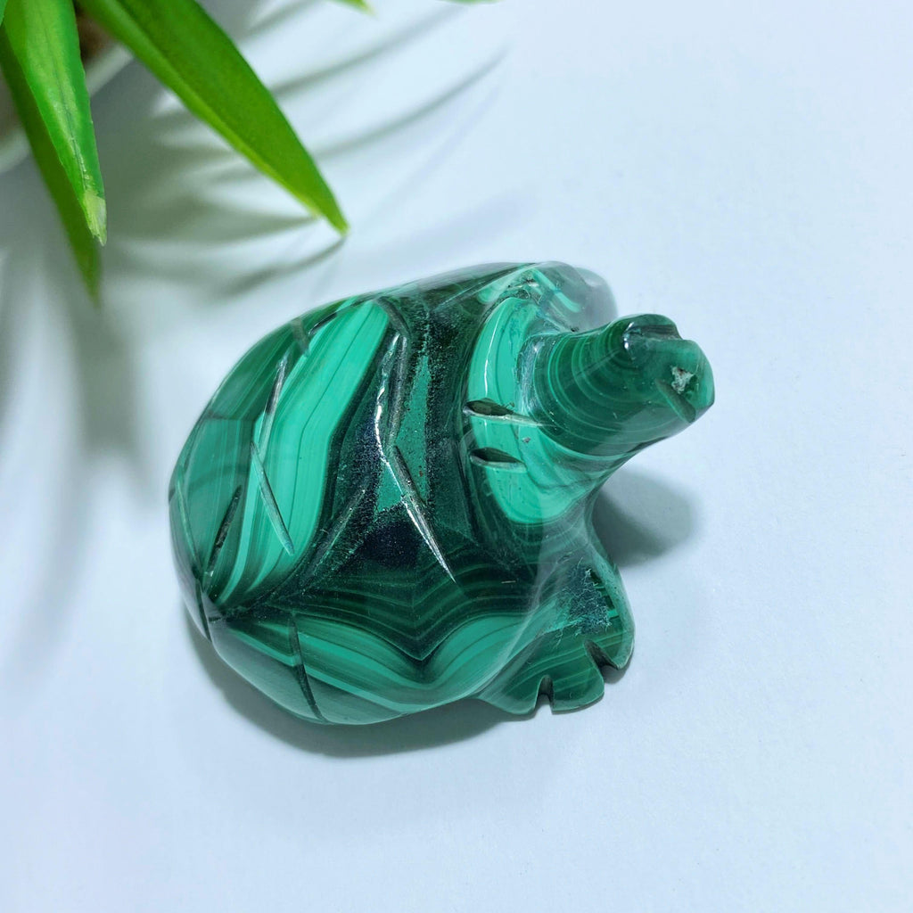 Cute Malachite Turtle Display Carving #2 - Earth Family Crystals