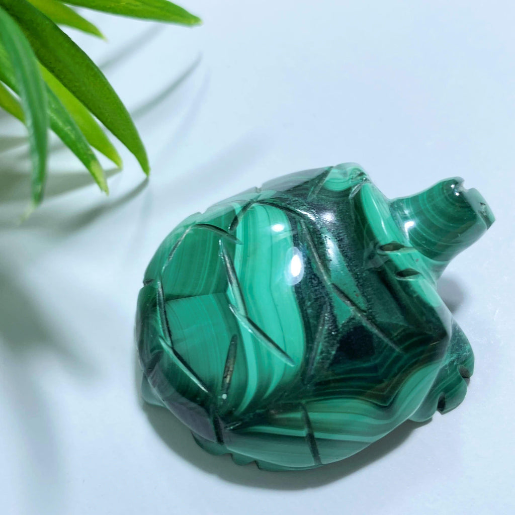 Cute Malachite Turtle Display Carving #2 - Earth Family Crystals
