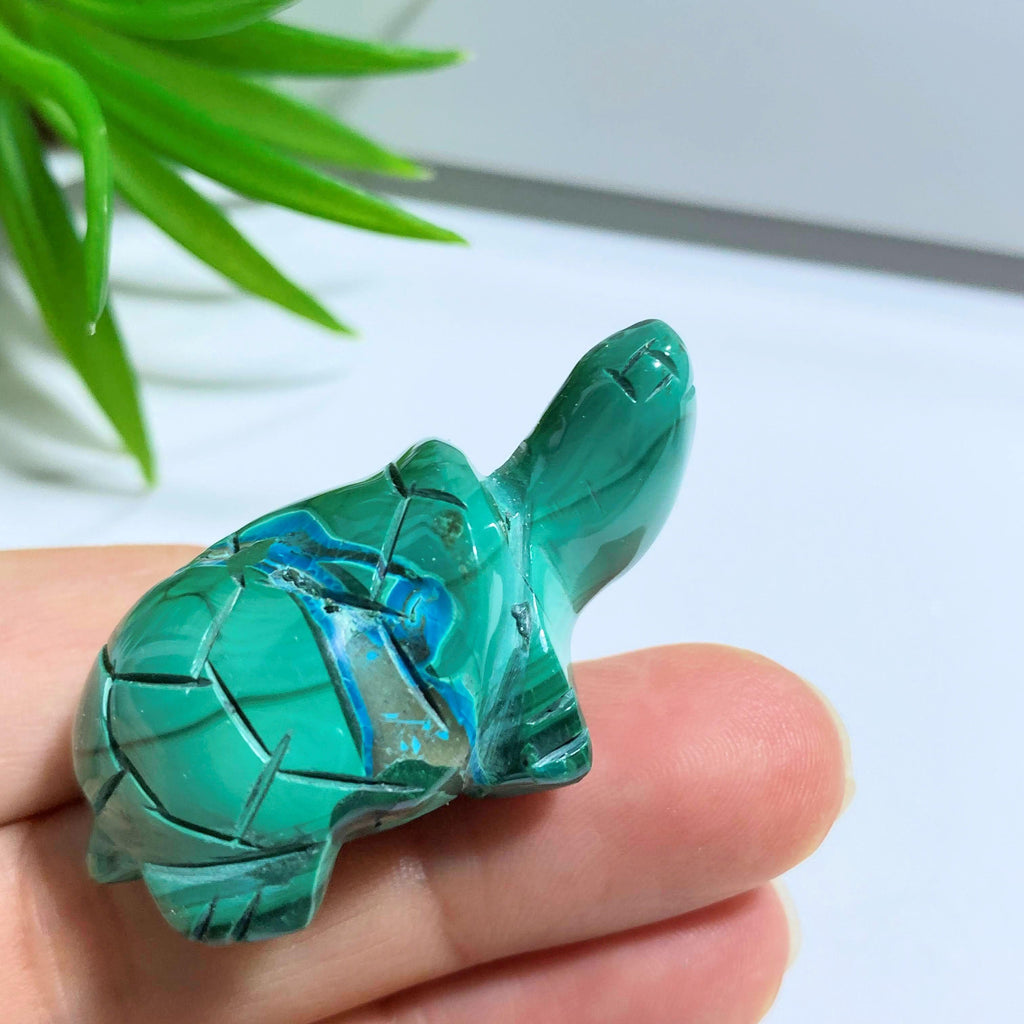 Cute Malachite & Chrysocolla Turtle Display Carving #3 - Earth Family Crystals