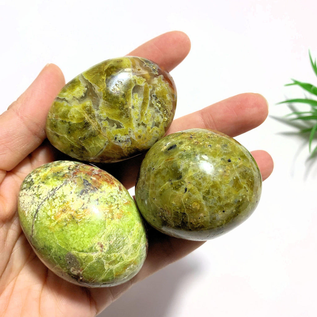One Green Opal Smooth & Comforting Palm Stone~Locality Madagascar - Earth Family Crystals