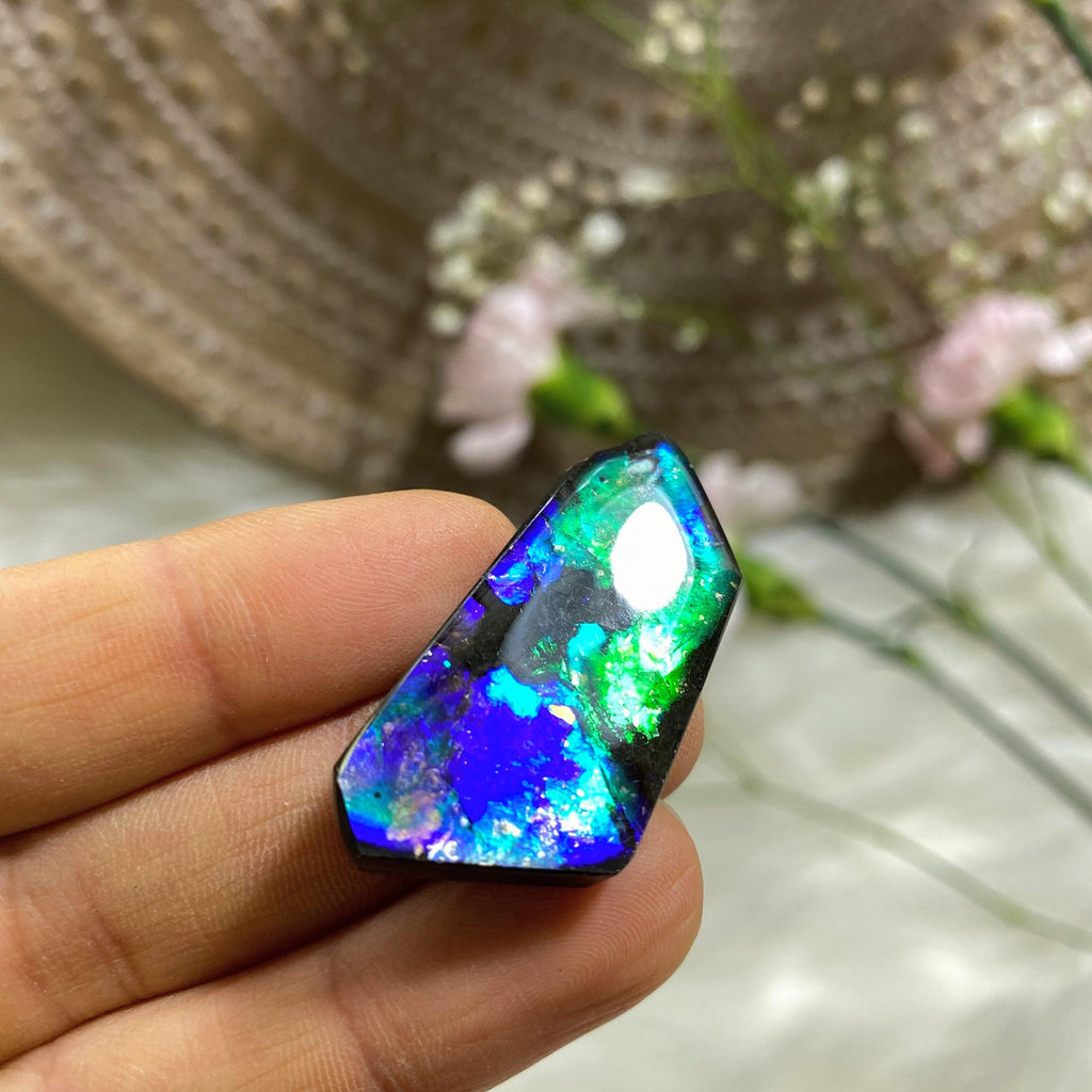 Rare Blue/Purple & Green Flashes Alberta Ammolite Fossil Cabochon ~ Perfect for Crafting - Earth Family Crystals