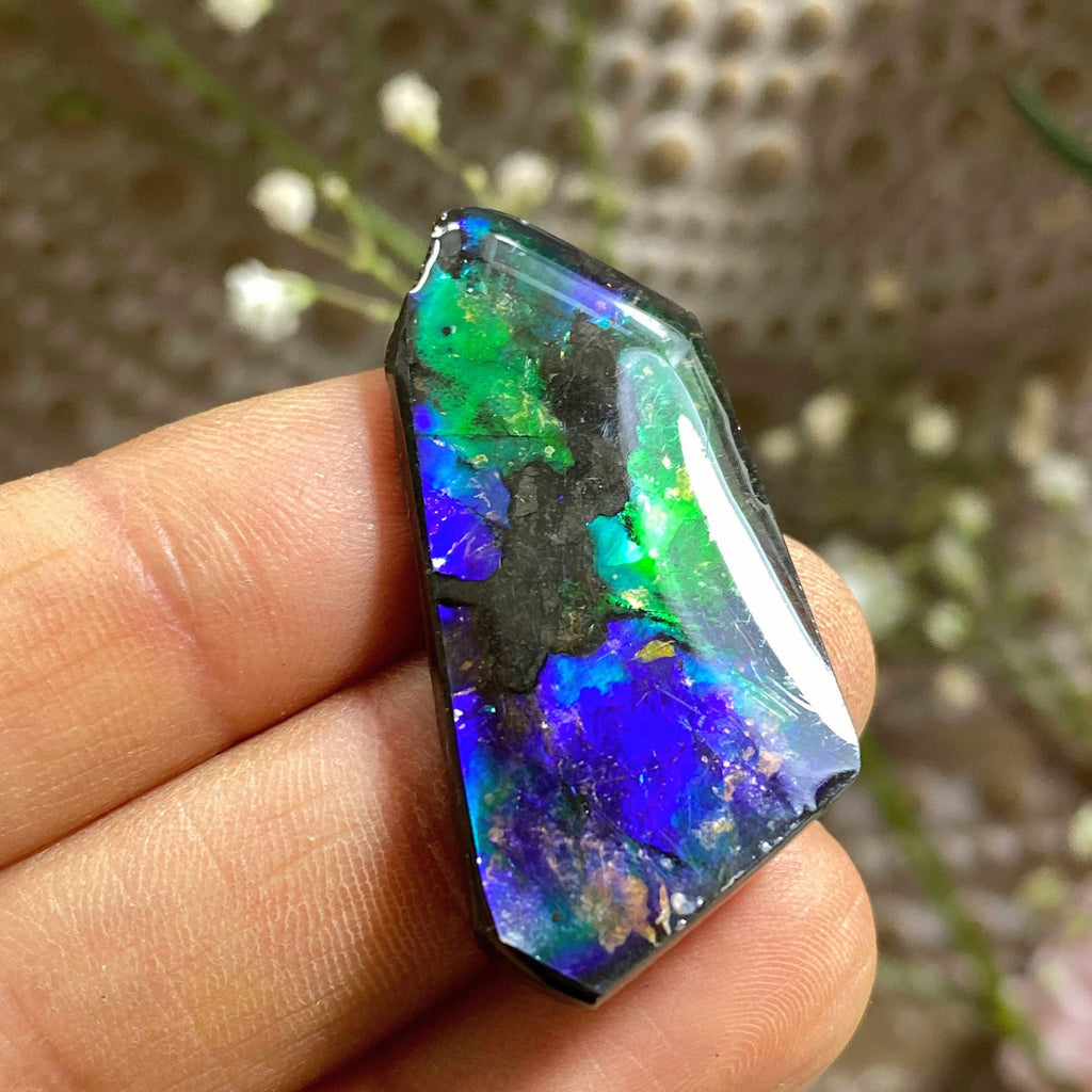 Rare Blue/Purple & Green Flashes Alberta Ammolite Fossil Cabochon ~ Perfect for Crafting - Earth Family Crystals