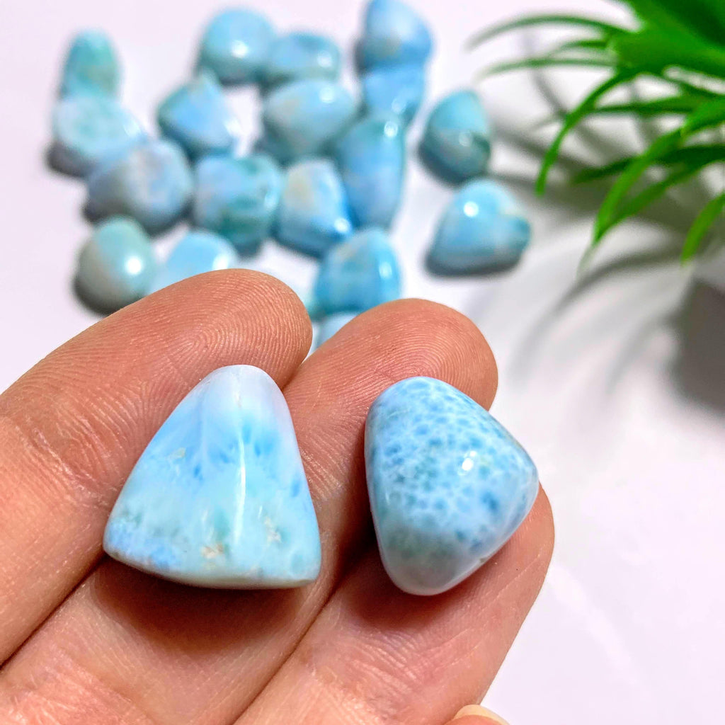 Set of 2~ Larimar Blue Serenity Tumbled Stones (Ideal for Crystal Grids & Crafting) - Earth Family Crystals