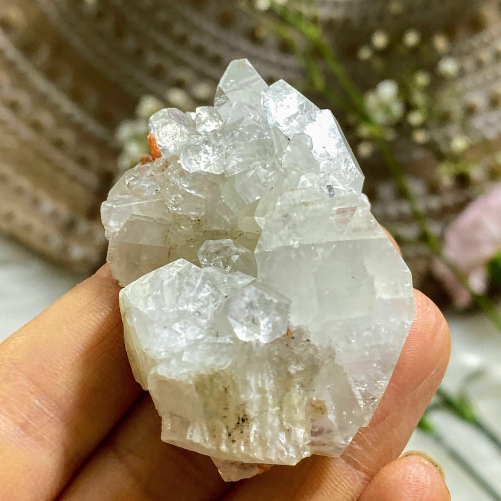 Gemmy Clear Apophyllite Cluster ~Locality India - Earth Family Crystals