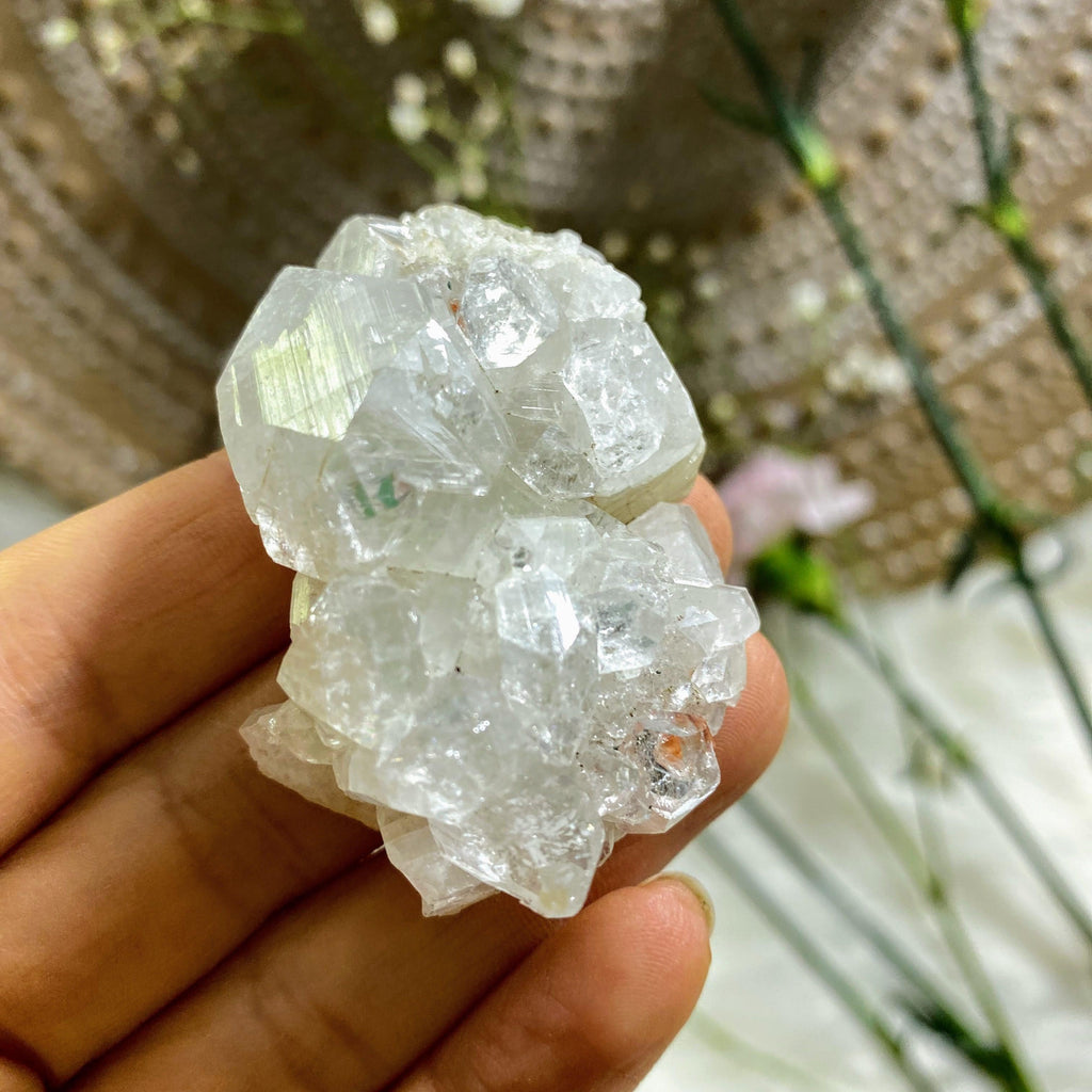 Gemmy Clear Apophyllite Cluster ~Locality India - Earth Family Crystals