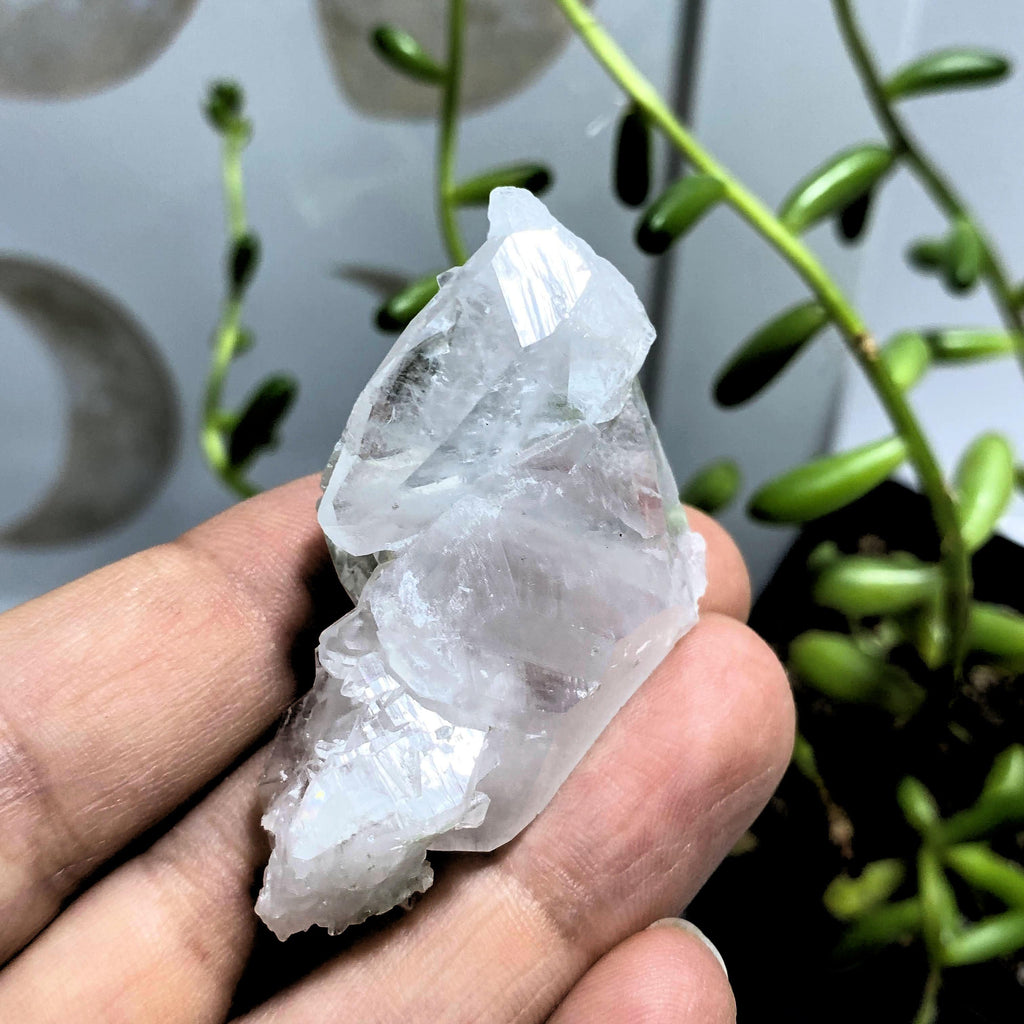 Gorgeous Faden Quartz With Chlorite Inclusions Unpolished Specimen From Pakistan - Earth Family Crystals