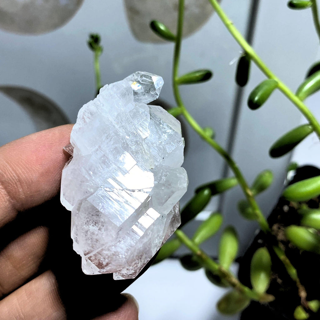 Double Terminated  Faden Quartz Unpolished Specimen From Pakistan #1 - Earth Family Crystals