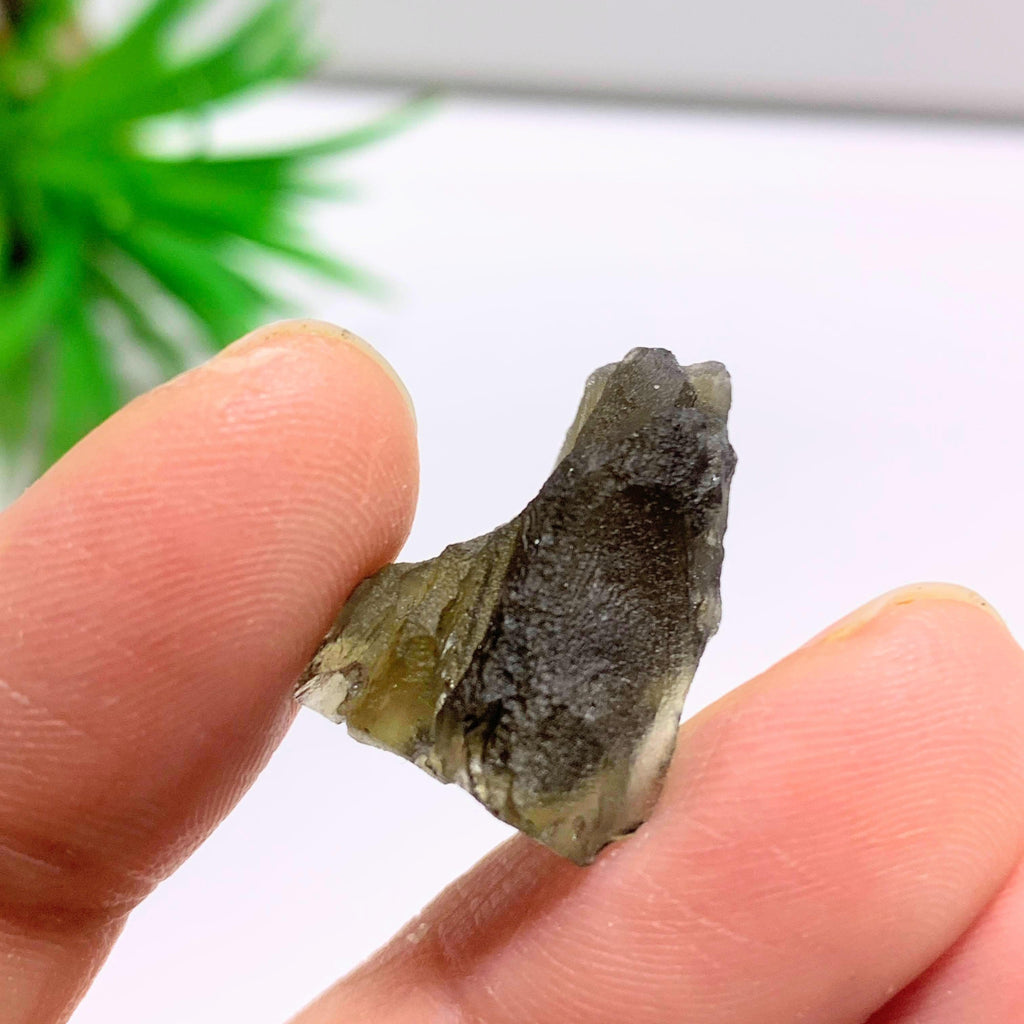 Genuine Raw Moldavite Specimen From Czech Republic #9 - Earth Family Crystals