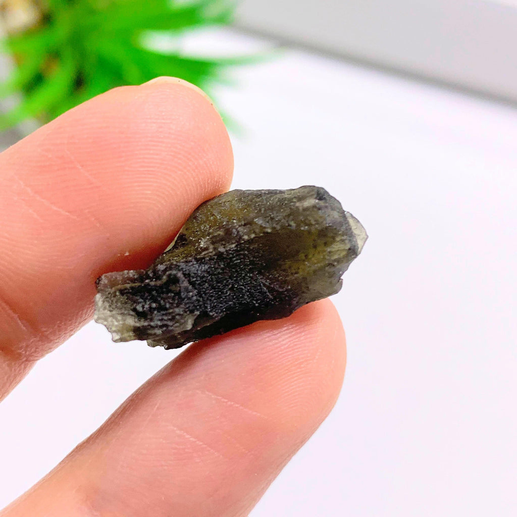 Genuine Raw Moldavite Specimen From Czech Republic #9 - Earth Family Crystals