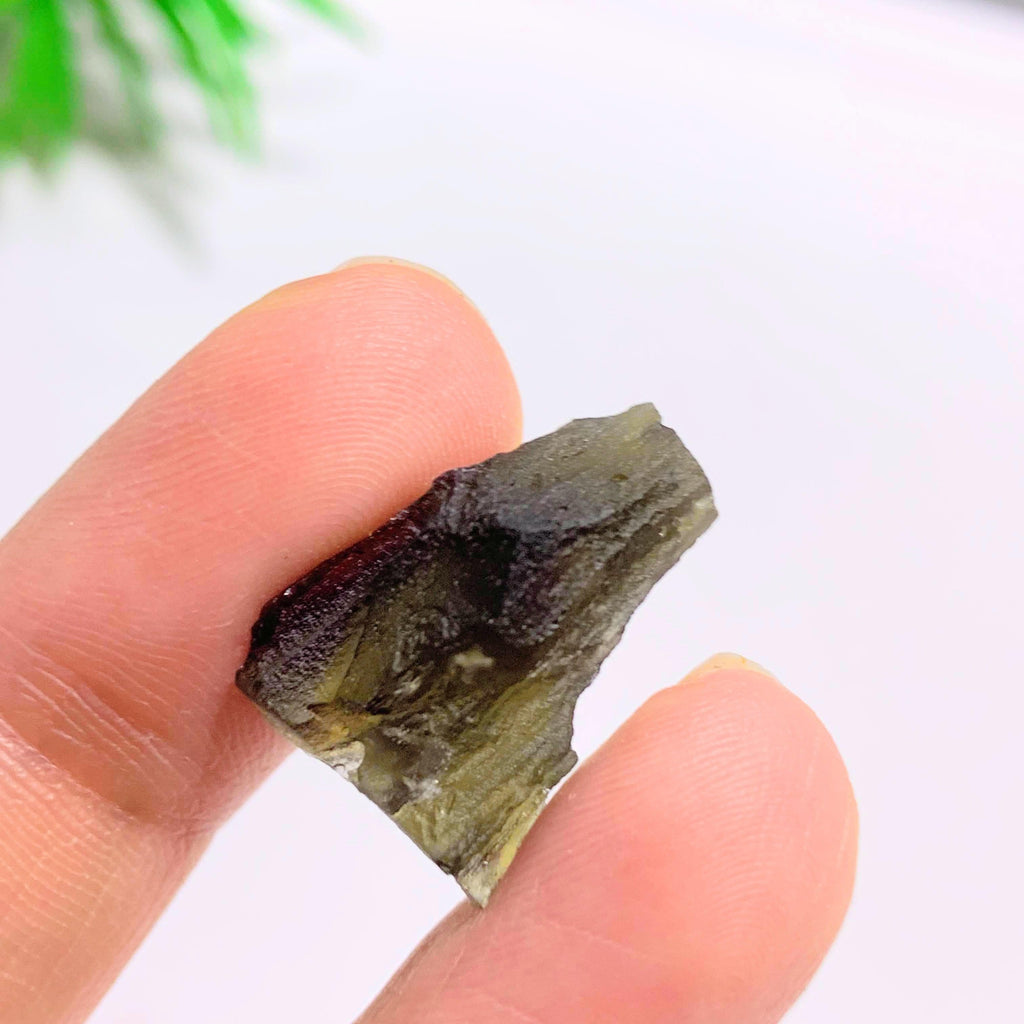 Genuine Raw Moldavite Specimen From Czech Republic #9 - Earth Family Crystals