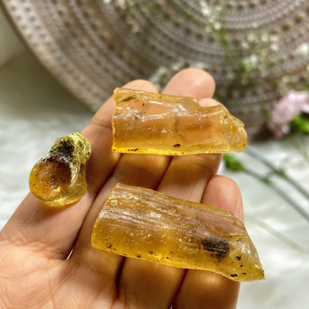 Set of 3 Ancient Bug Included Golden Amber Copal From Colombia - Earth Family Crystals