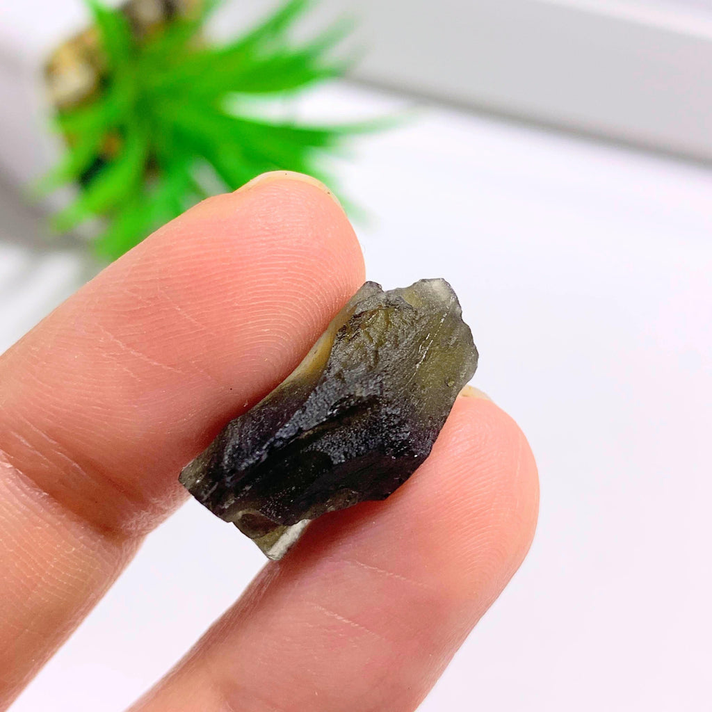 Genuine Raw Moldavite Specimen From Czech Republic #9 - Earth Family Crystals