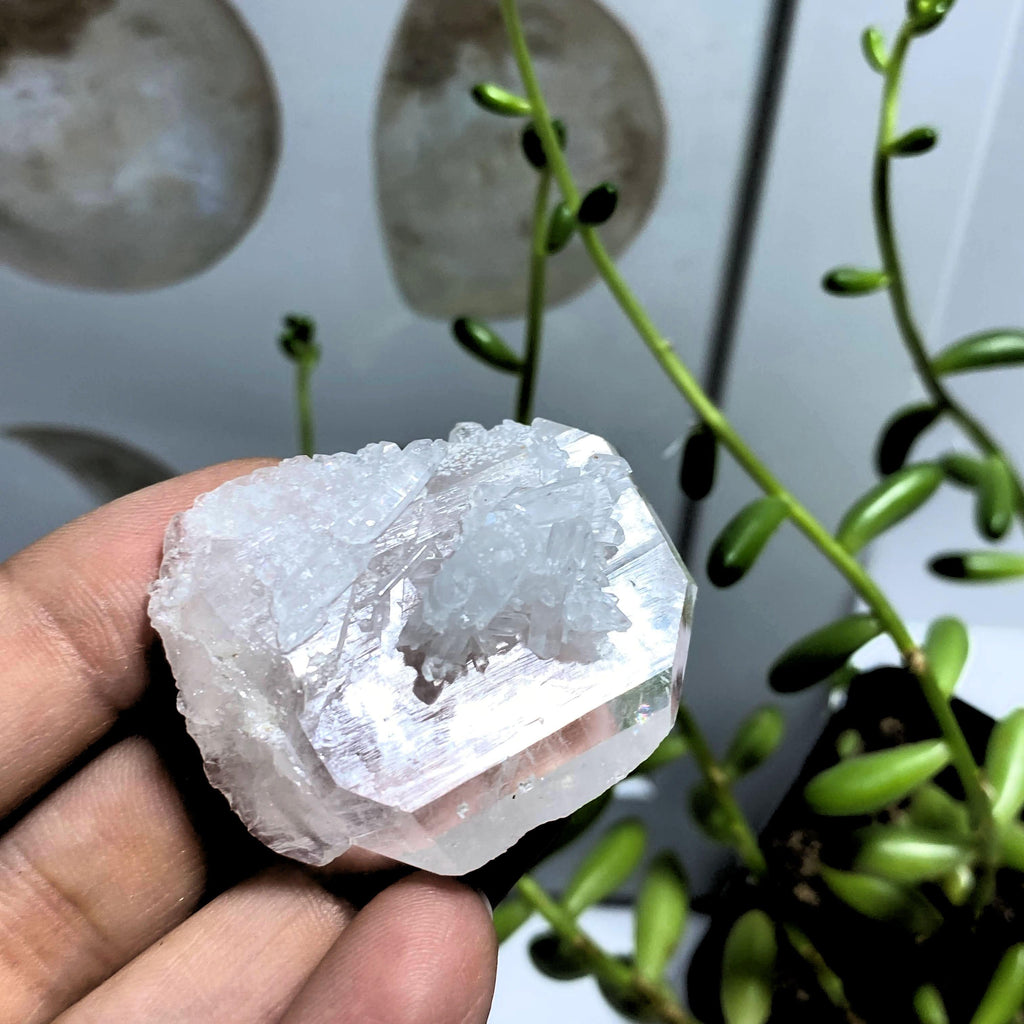 Double Terminated  Faden Quartz Unpolished Specimen From Pakistan #2 - Earth Family Crystals