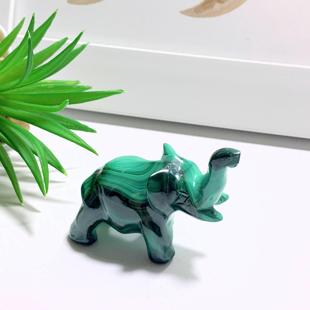 Adorable Malachite Elephant Standing Display Carving #1 - Earth Family Crystals