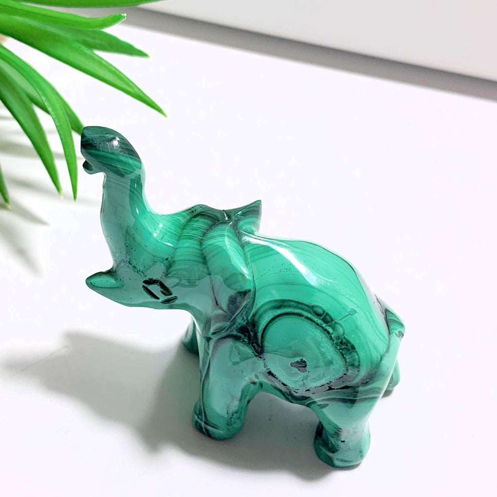 Adorable Malachite Elephant Standing Display Carving #1 - Earth Family Crystals