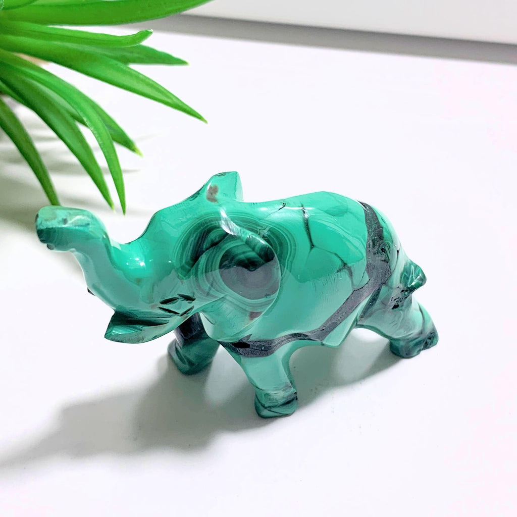 Adorable Malachite Elephant Standing Display Carving #2 - Earth Family Crystals
