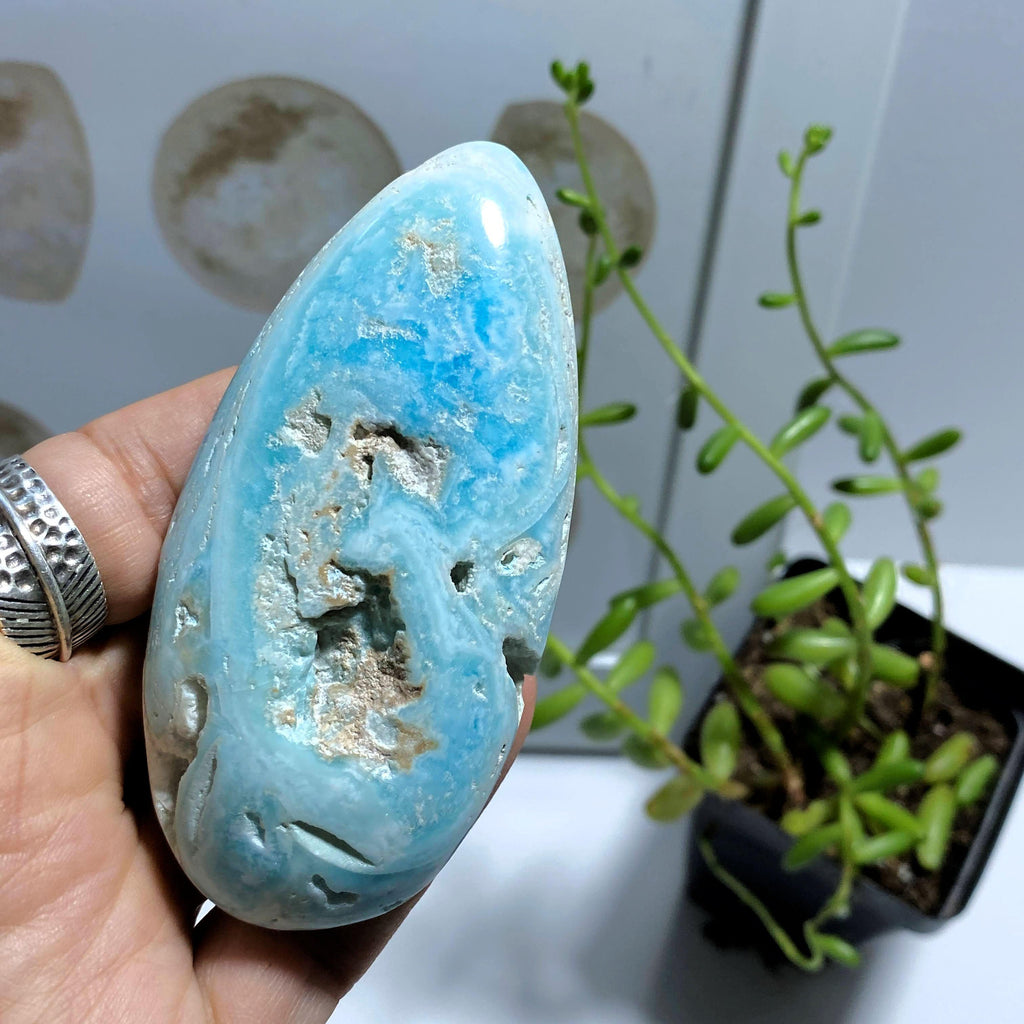 Blue Aragonite Large Teardrop Partially Polished Palm Stone - Earth Family Crystals