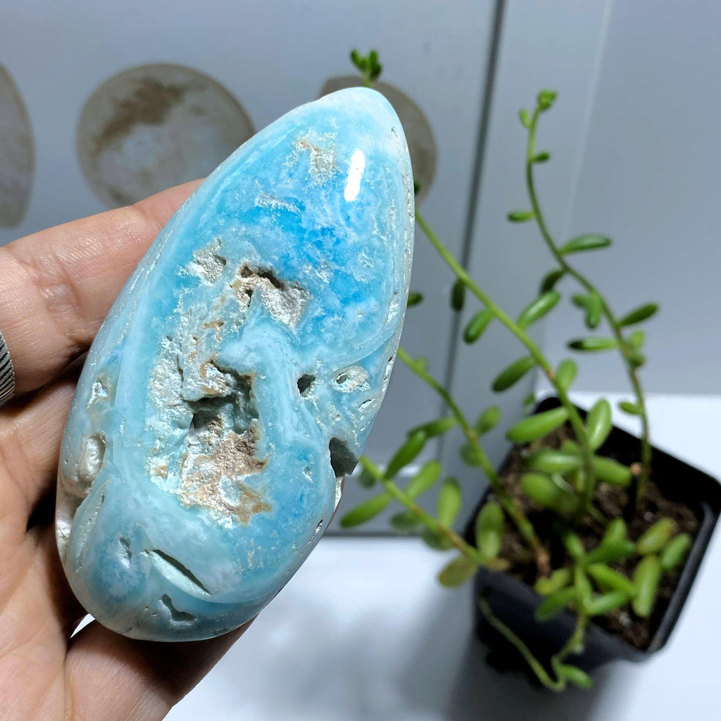 Blue Aragonite Large Teardrop Partially Polished Palm Stone - Earth Family Crystals