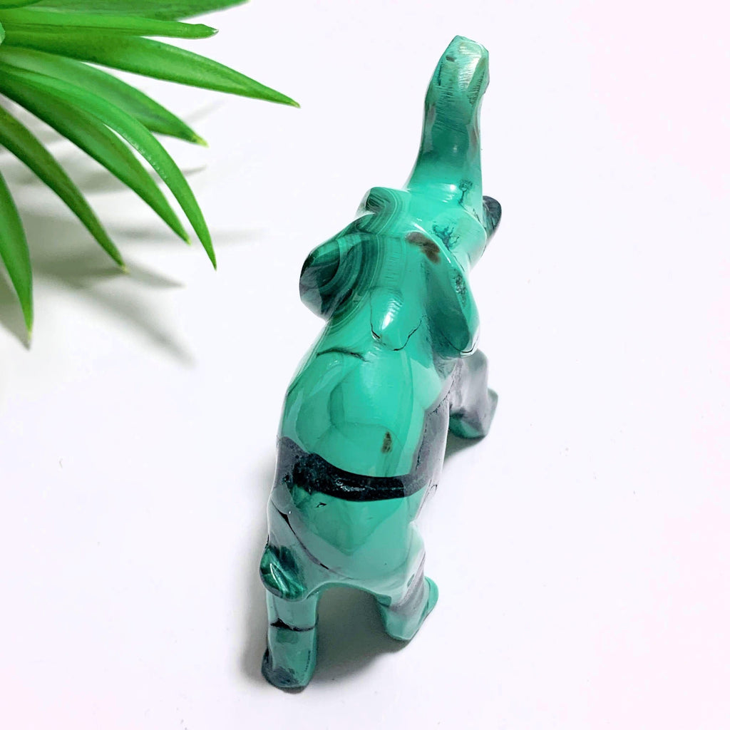 Adorable Malachite Elephant Standing Display Carving #2 - Earth Family Crystals